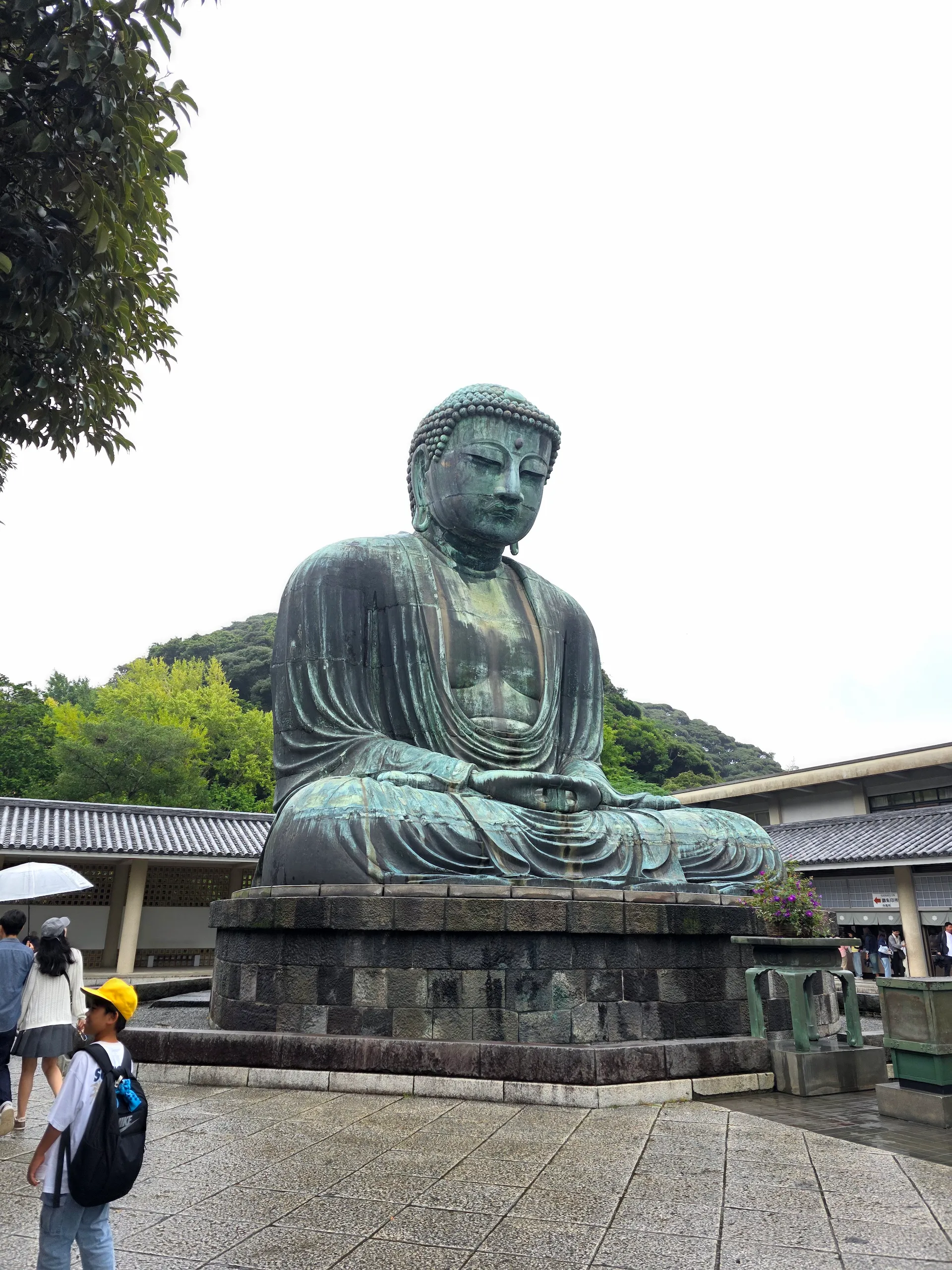 静穆慈悲的镰仓高德院大佛