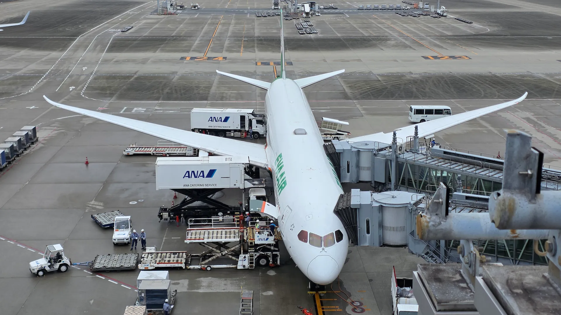 长荣航空 EVA Air 绿白客机